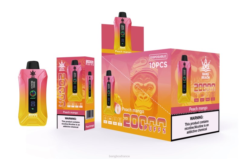 Puff Bang Box Avis - Bang Beach Vape à écran intelligent de 20 000 bouffées pêche mangue X42862