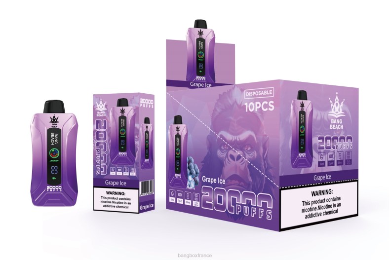 Puff Bang Box - Bang Beach Vape à écran intelligent de 20 000 bouffées glace aux raisins X428610