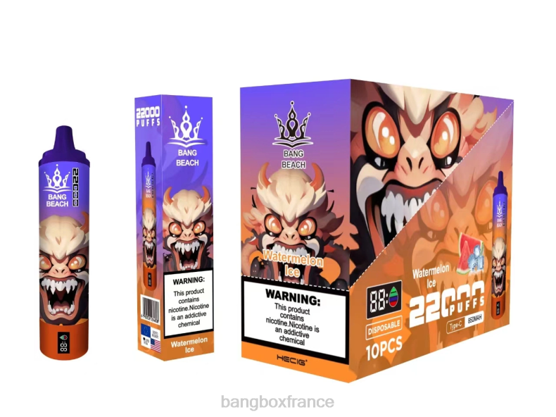 Puff Vape Bang Box - Bang Beach Écran intelligent de 22 000 bouffées glace à la pastèque X428622