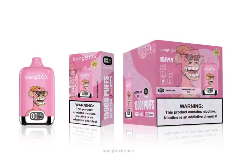 Bang Box France - Bang Box 15000 bouffées glace à la pastèque X428645