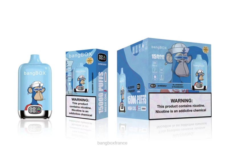 Puff Bang Box Avis - Bang Box 15000 bouffées fraise myrtille X428638