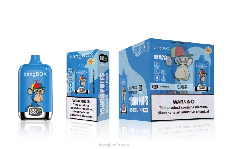 Puff Bang Box - Bang Box 15000 bouffées myrtille framboise X428646