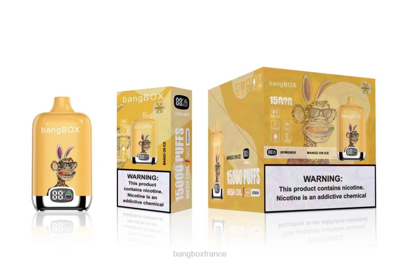 Puff Bang Box Nicotine - Bang Box 15000 bouffées mangue sur glace X428648