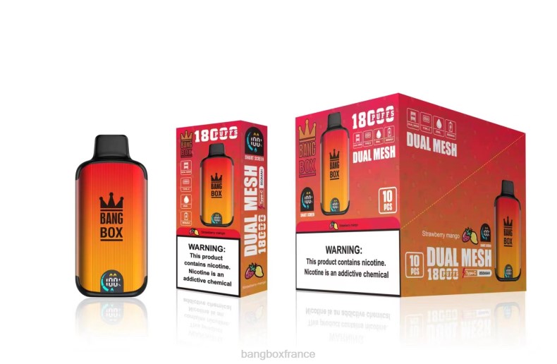 Bang Box France - Bang Box 18000 bouffées mangue fraise X428699